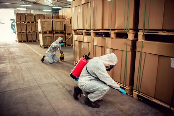 Best Affordable Pest Control Services  in Lake Tansi, TN