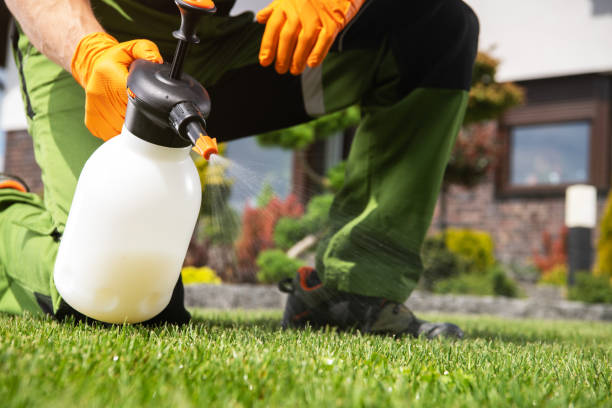 Best Local Pest Control Services  in Lake Tansi, TN