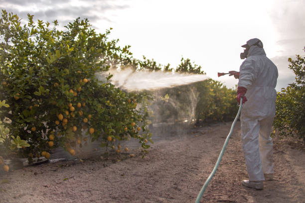 Best Mosquito Control Services  in Lake Tansi, TN