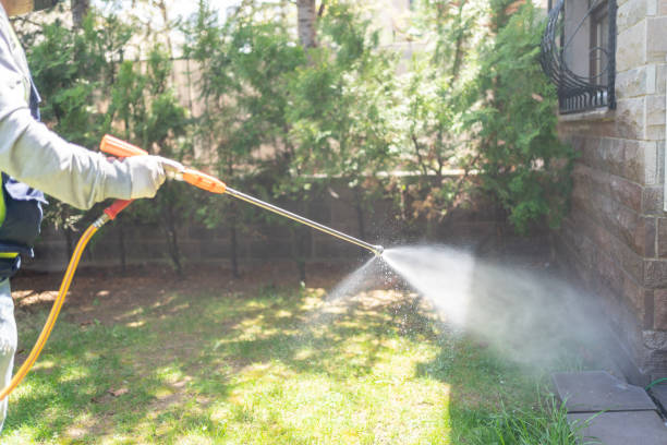 Reliable Lake Tansi, TN Pest Control Solutions