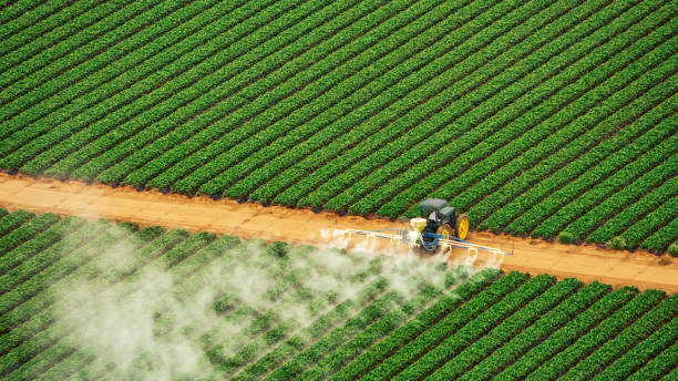 Best Mosquito Control Services  in Lake Tansi, TN