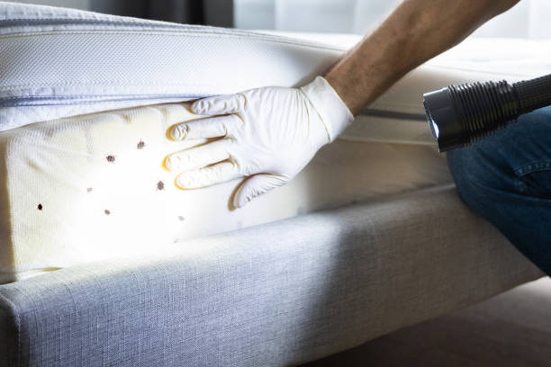 Best Pest Removal Services  in Lake Tansi, TN