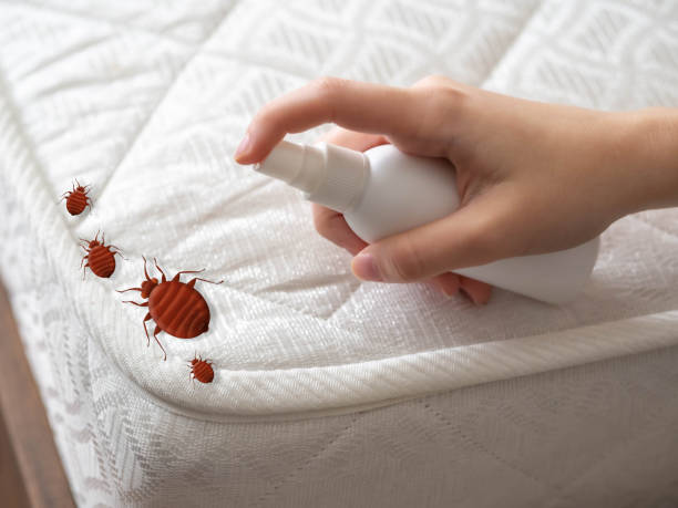 Best Emergency Pest Control  in Lake Tansi, TN
