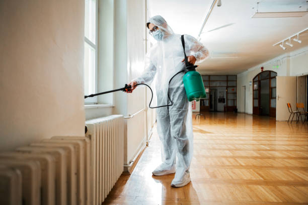 Best Termite Control Services  in Lake Tansi, TN