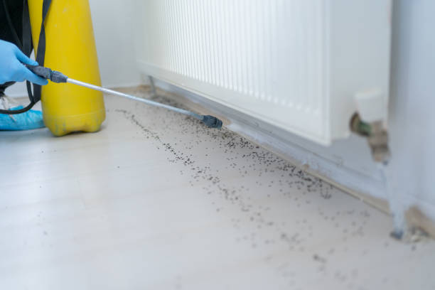 Best Residential Pest Control  in Lake Tansi, TN