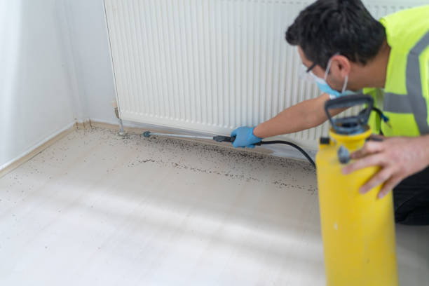 Pest Prevention Services in Lake Tansi, TN