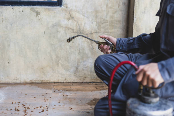 Best Pest Prevention Services  in Lake Tansi, TN