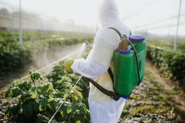 Best Wasp Removal Services  in Lake Tansi, TN